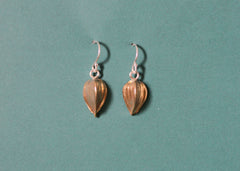 Beechnut dangle earrings in brass and silver