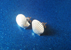 Mermaid Sea Shell Stud Earrings