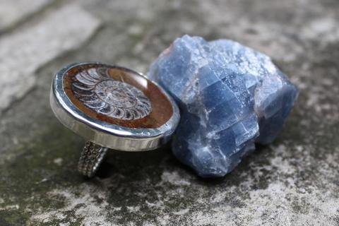 XL Ammonite Fossil Ring - ready to ship size 8