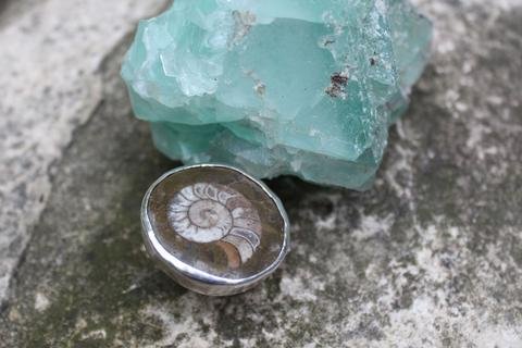 Ammonite Fossil Ring - ready to ship size 6.5